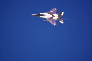 機動飛行 航空自衛隊70周年特別塗装機 F-15
